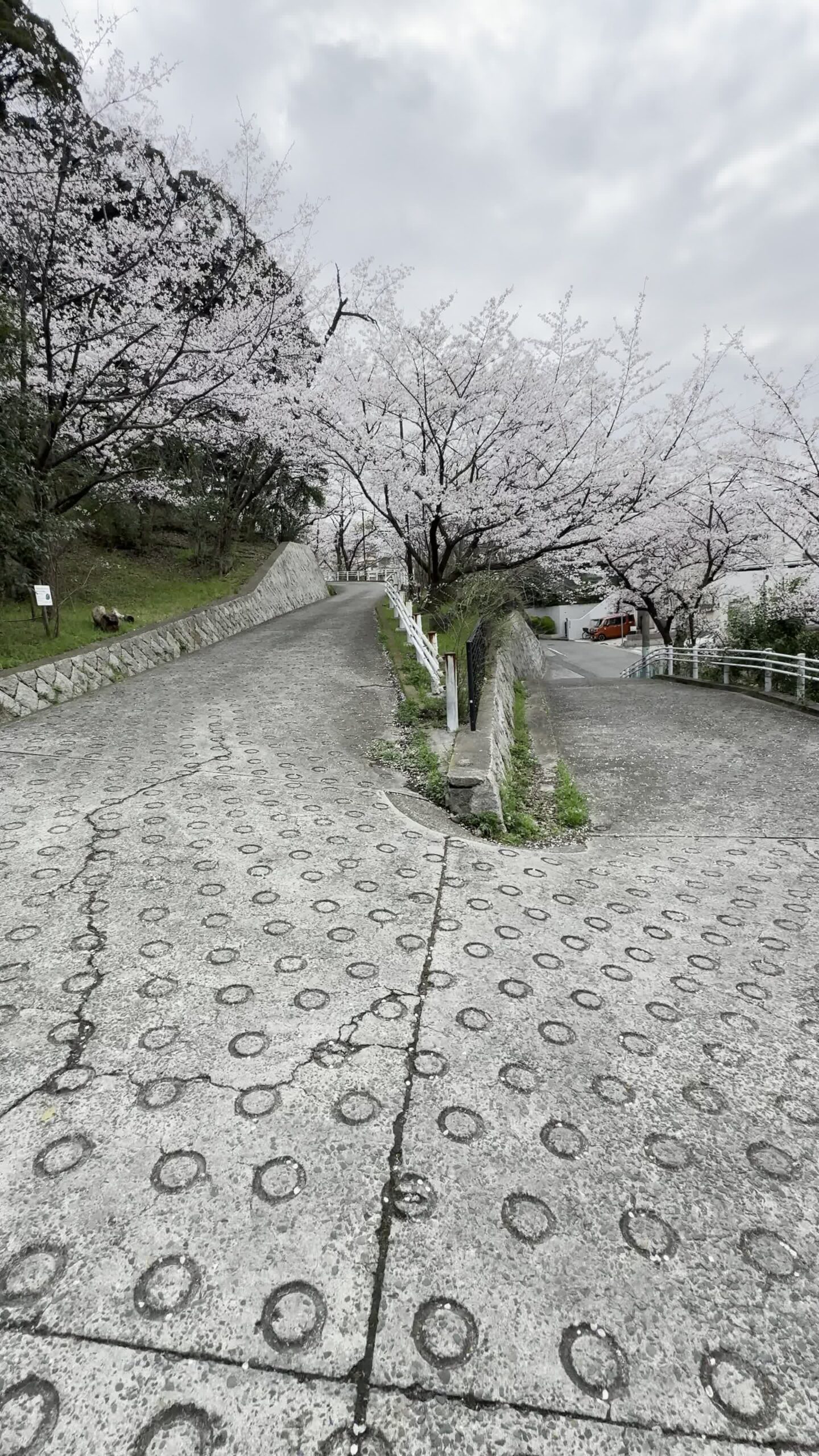 Kobe ankomst – 1. dag i Japan