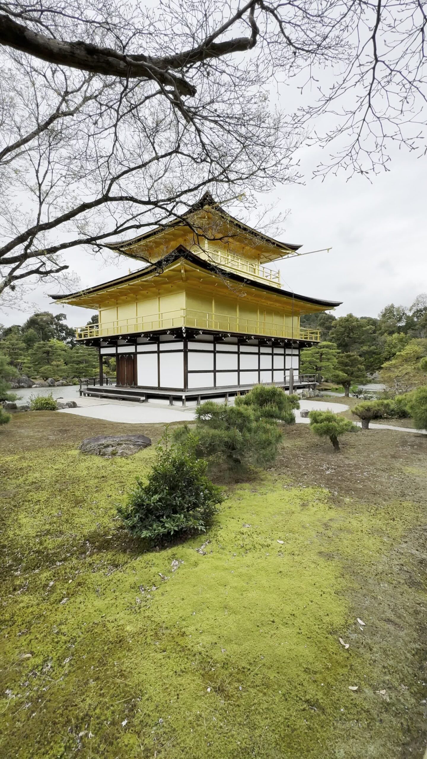 Kyoto på en dag – 6. dag i Japan