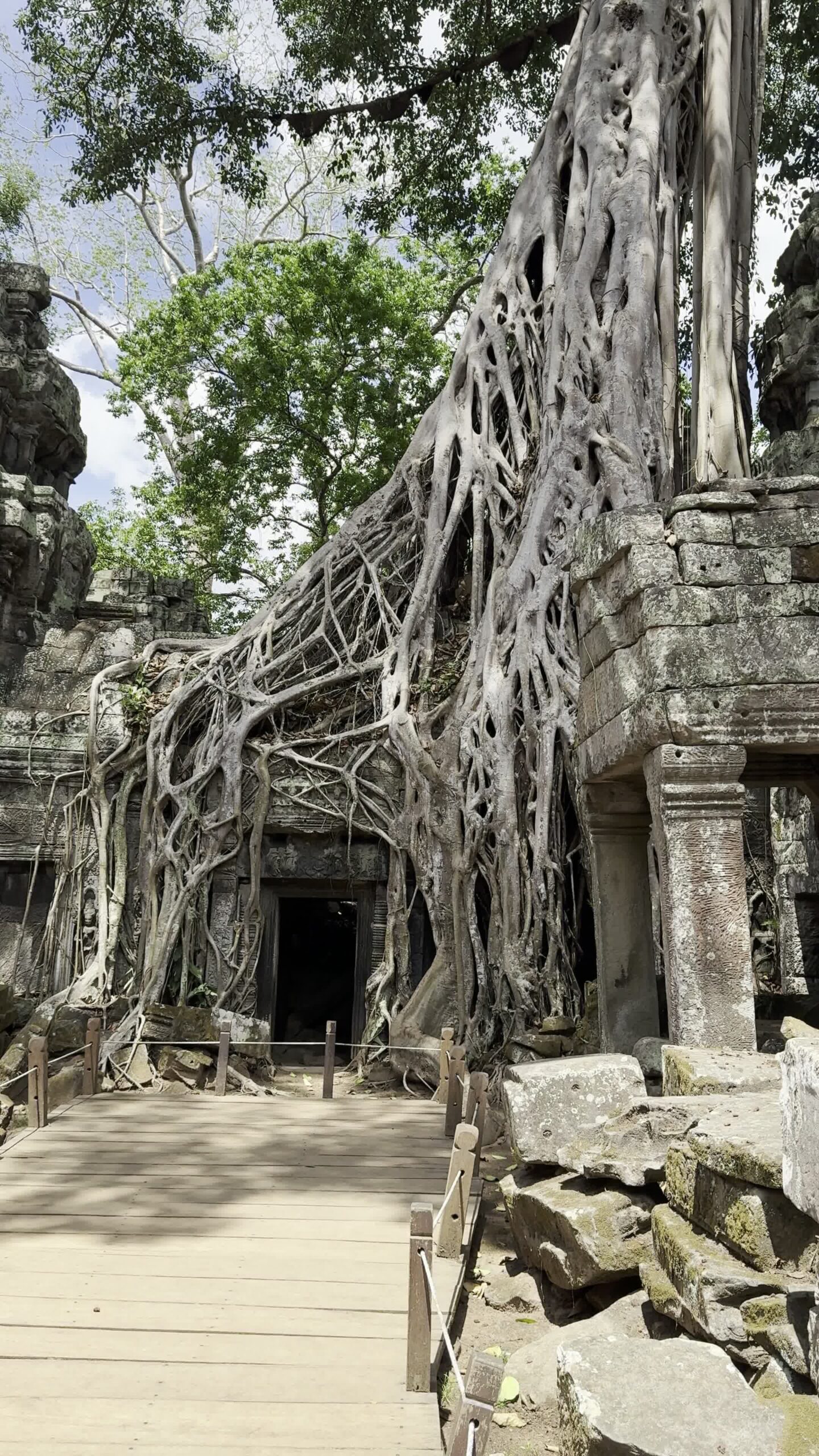 Read more about the article Kæmpetempler i Cambodjas jungle