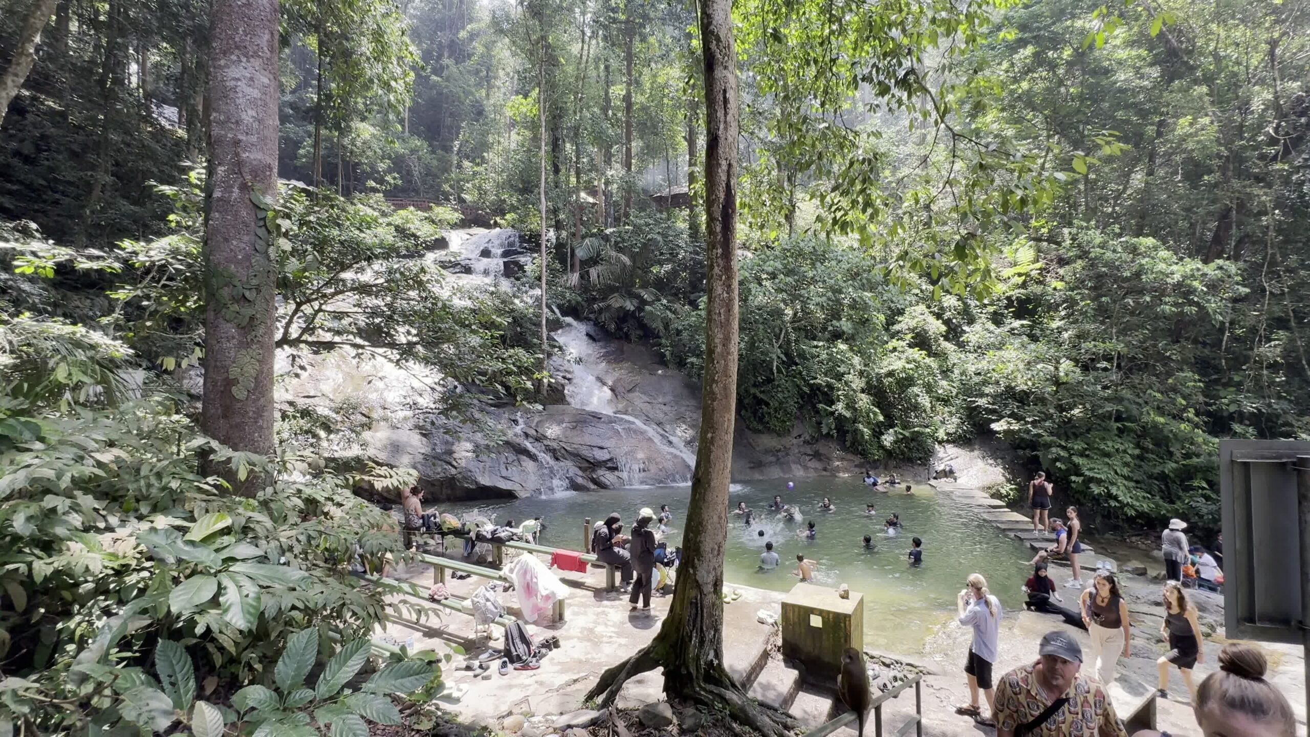 Ugentlig opsamling 20. juli til 26. juli