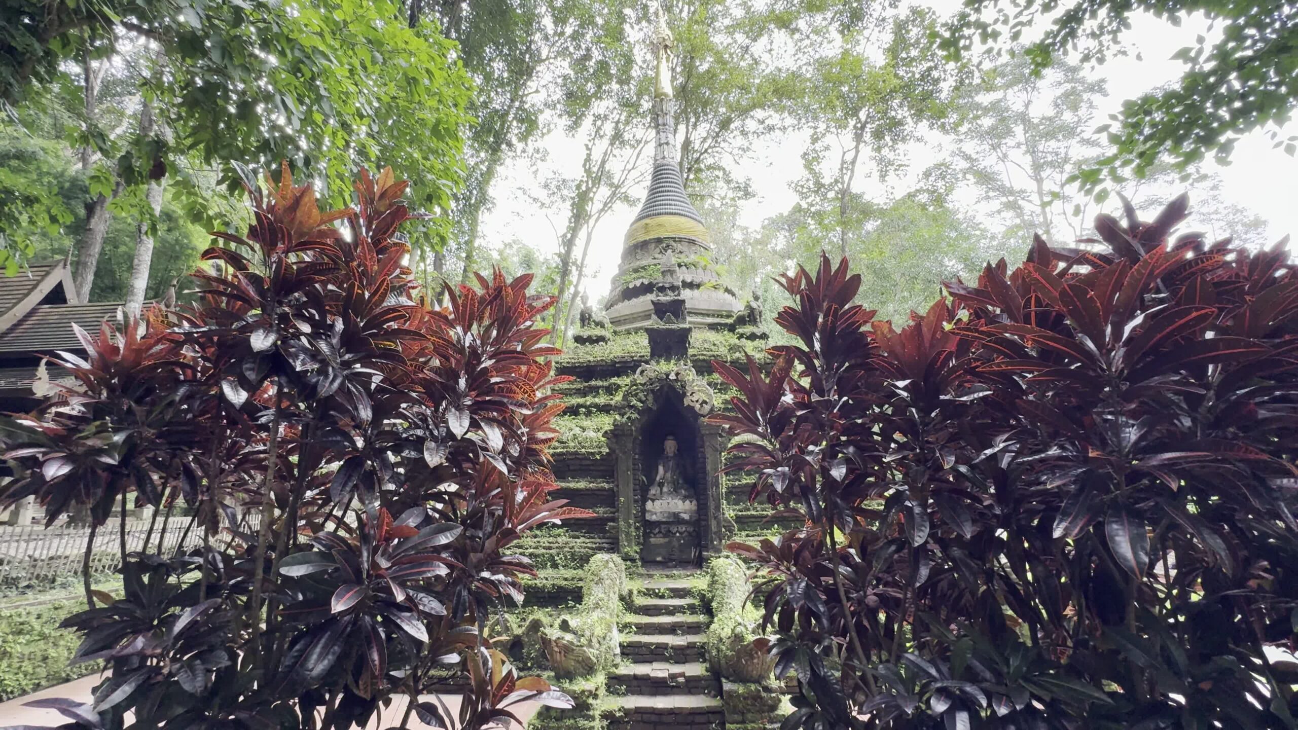 The Hike to Doi Suthep